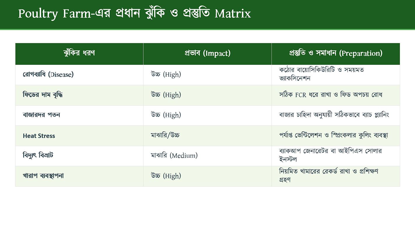 Slide variant 6